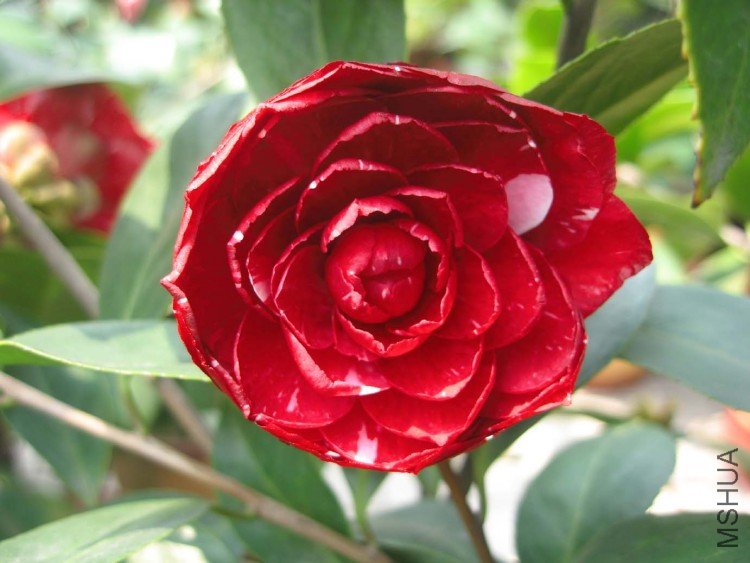 ԧ���� 09-4-6 (3).jpg