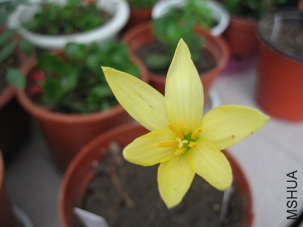 ��Ƭ 034_��С��С.jpg