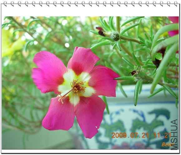 DSCN0951.JPG