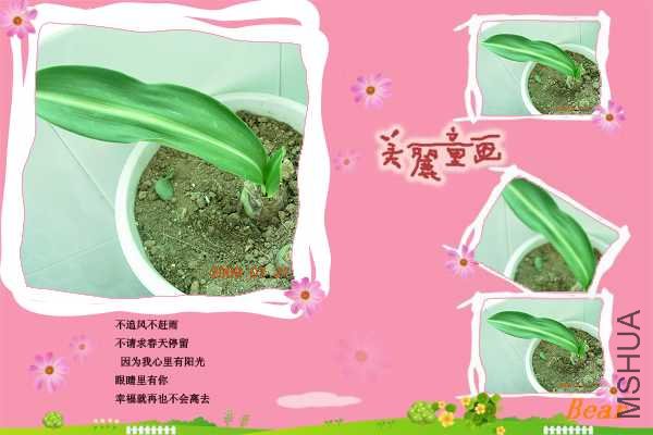 ��֪Ʒ�ֵ��죬��Ҹ�����һ�£��Ǻ�