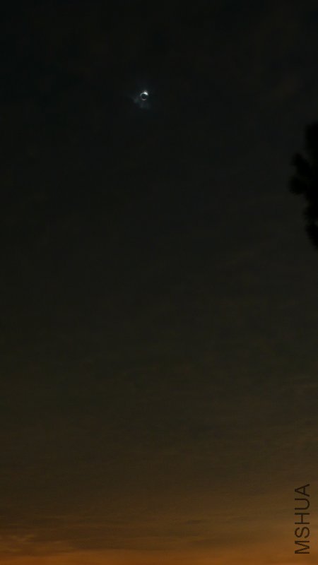 P1000870.JPG