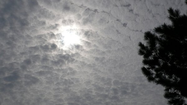 P1000846.jpg