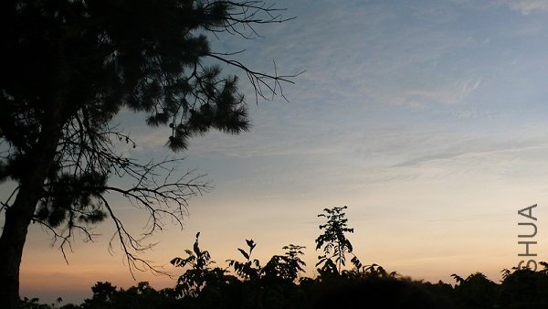 P1000878.jpg