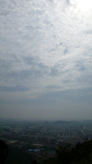 P1000894.jpg