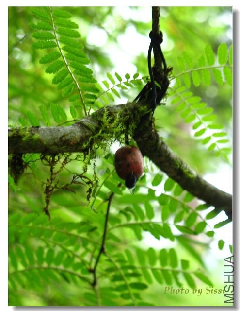 ��֪�������Ͻ��С����~