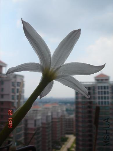 DSC04841.JPG