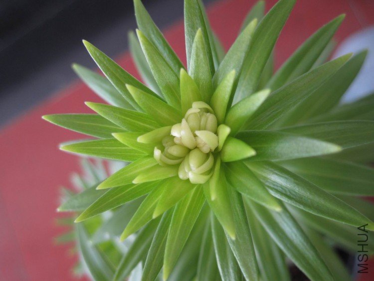 ������С IMG_0217.jpg