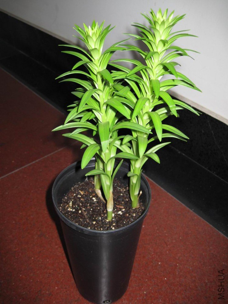 ������С IMG_0216.jpg