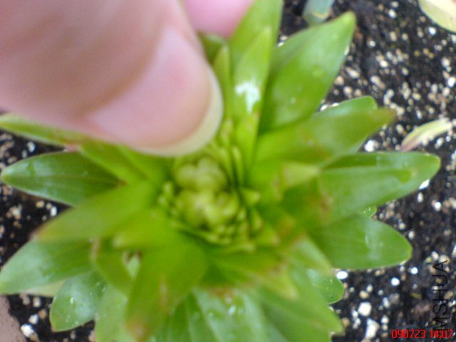 ���һ�ų�ɫ�Ĵ����л����ˣ�����һ�Ż�ɫ��Ҳ����