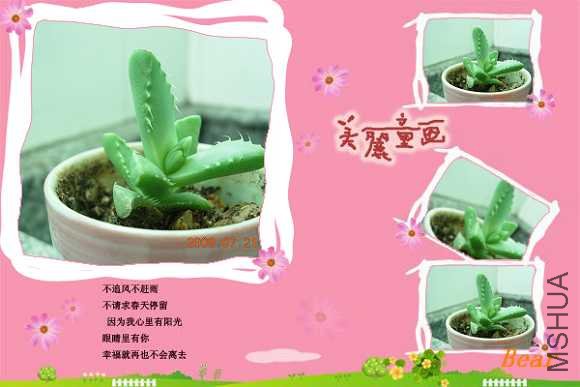 ��һ�������ϣ��ܿɰ�