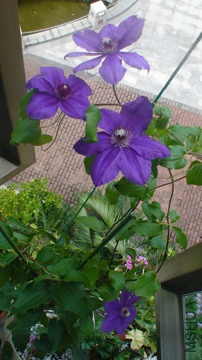 �������һ��ȫ���հ�! ��վ�ڴ�̨���ĵ�, ����������!