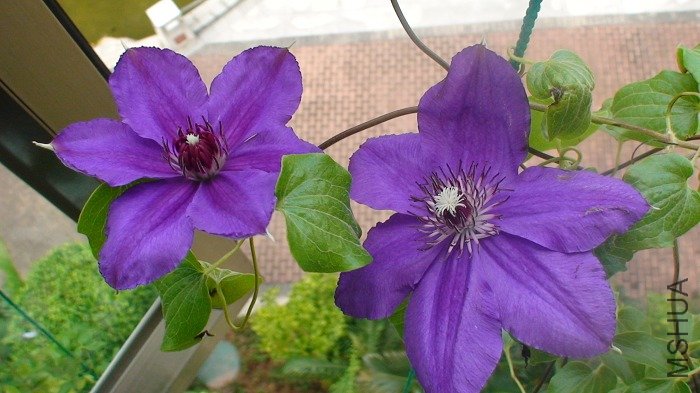 ��дһ��! �������¿��Ļ�, ���겻��������!