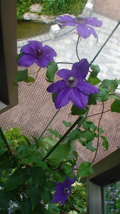 �Ķ��Ӱһ��! ���ио���! ���Ķ��װ������������̨��!