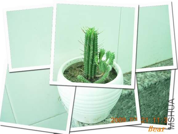 ��֪���ֵ�С�һ���