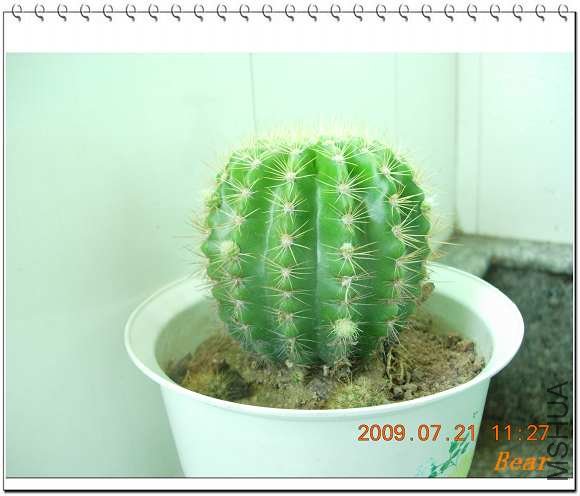 ͬ���͵�һ�������ǳ�С��ͳͳ����