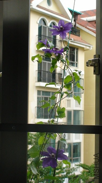 ���������������������, Ҳ����, ����?