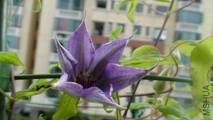 7-20��, ���濪����! �������ص�һ�������! �����, ���Լ�Ǥ��ķ����ȿ���!