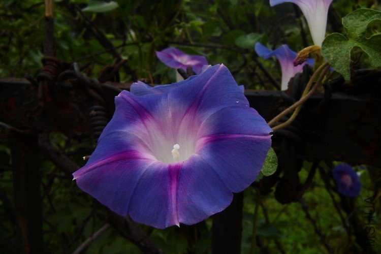 DSC08686-.jpg
