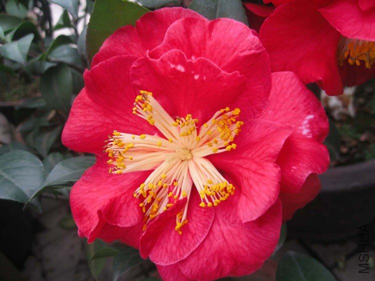 ������ɪ�ٰ��� 09-3-23 (2).jpg