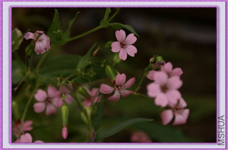 DSC00476.JPG