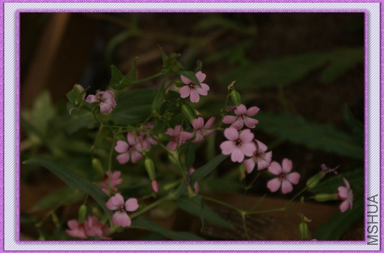 DSC00475.jpg