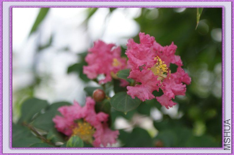 DSC00481.jpg