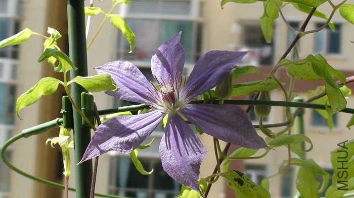 7-22�գ����ڿ�ȫ���� �����Ѿ������ĵ�������������ͦ���ɣ�