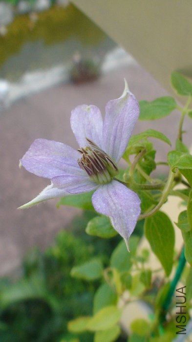 7-15�գ����Ա�һ�£����ǵ����Ǥ���翪�Ļ���ҪС�ܶ��أ����ǿ����ĵڶ��죡