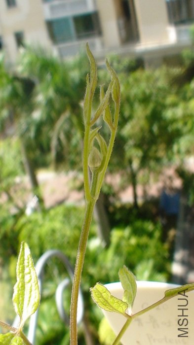 ������дһ�£����ٵؽ��������⽫�������￪���ĵ�23��Ʒ�ְ���