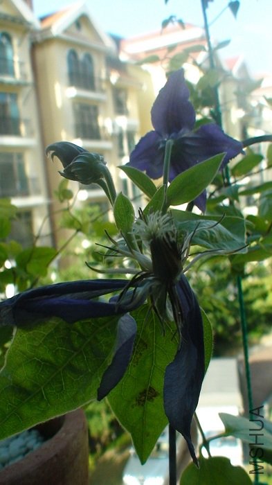 7-23�գ�7-14�տ��Ķ���л�ˣ���9�죩���µ��ֿ��ˣ�����ҶҸ���Ļ�������Ҫ��СЩ��