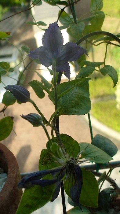 ����һ�ţ���������ؿ��������������٣�����Ҫ����4���أ�