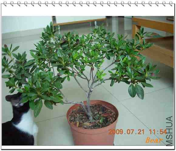 СҶ�ž飬����ϲ�ˣ��Ƕ���������