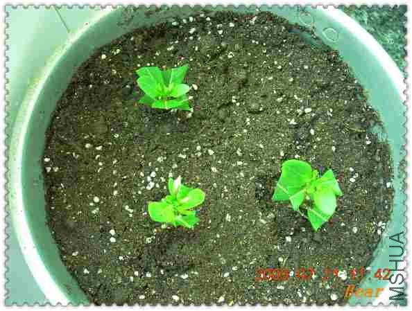 �ող��ϼ�������մ�