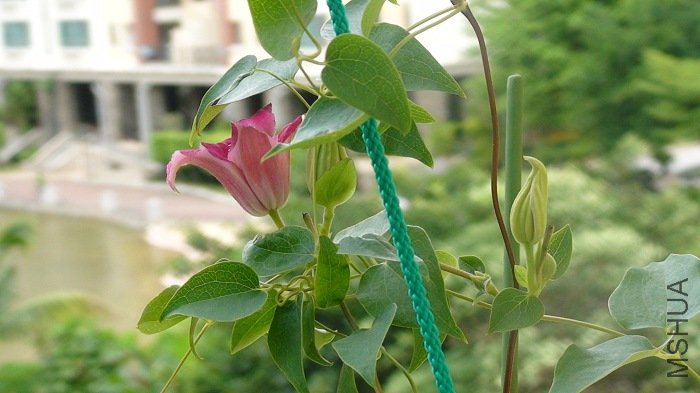 7-24��, �������! ͷ���𣬸�����Щ�ˣ�