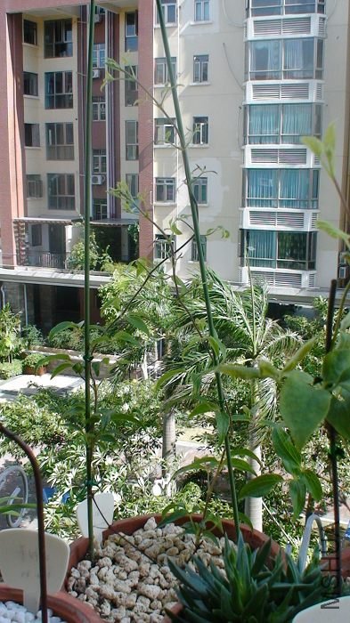 7-23�գ��ֳ��������Ľ��أ������������ھͱ仯����ô�����ˣ������ڽ����ɳ�������