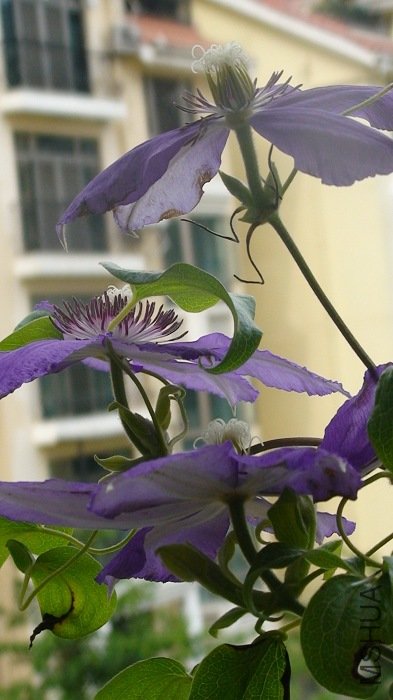 ƽʱ��������ܿ������أ�����������͵����ˣ�������ѿ�ɣ�����û�ܳ��֦������