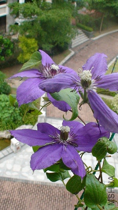 7-24�գ���̨��Ĺ�ϵ�����ȿ�л�ˣ�һ���Ѿ����˻��ֻ꣬����󿪵�һ�仹����