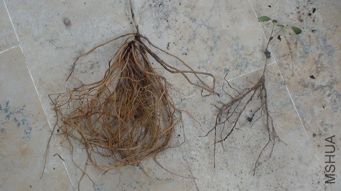 ������ȫû����ģ�������һ��һ��İٱ�Ů������ʱ�����������أ�����5�����Ա�һ�£�