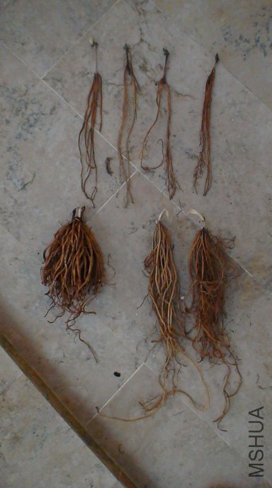 ������ʱ����С��ĺ�Ӱ�����Ͻ��ǰٱ�Ů�������½���СѼ����ʱ������û���ڵĴ�