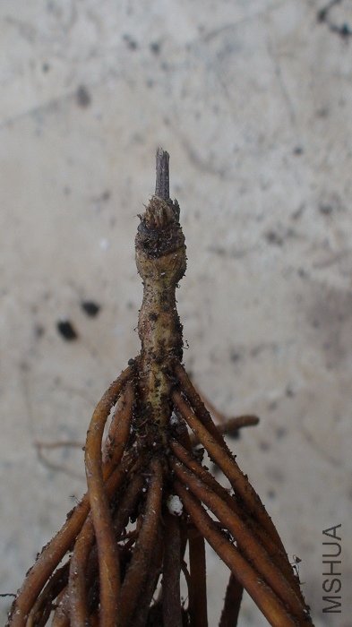 ��һ�Ƕ��ٿ���������û����ѿ���أ�