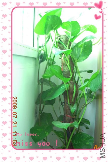 ����һ����è�ٰ�������Ŀ������ӣ�������è�����������ºܶ���ˣ����һ�����������