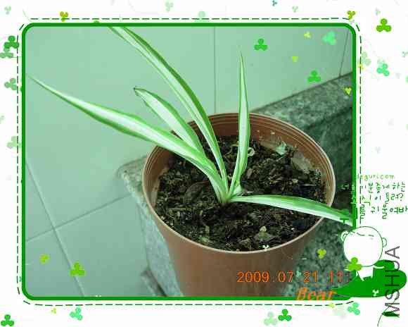 ��ͬ������Ҫ��һ�����ĵ���