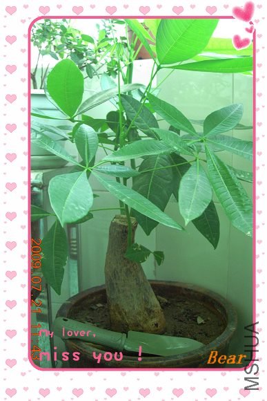 ������Ԫ�ϼ��ģ���ʮ���ˣ���������ǿ��ӵ����������ú����ţ����ҵ������Ǻ�