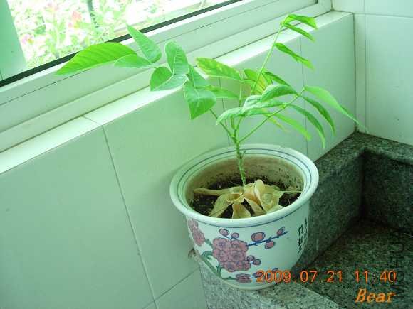 �����֪����ʲô���������� �ˣ�