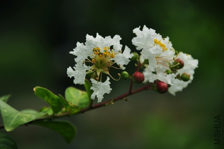 _DSC0035-.jpg