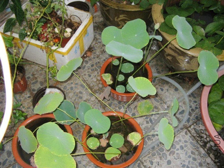 ���� 004.jpg