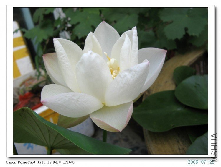 ���� 037.jpg