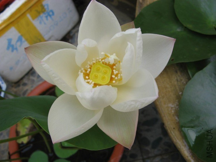 ���� 036.jpg