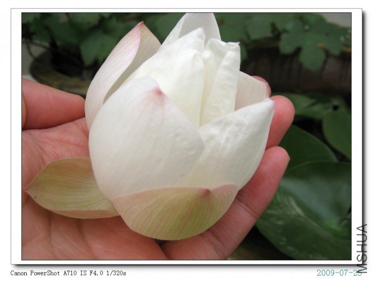 ���� 042.jpg