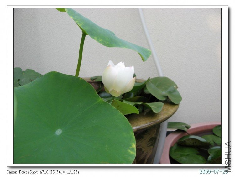 ���� 049.jpg